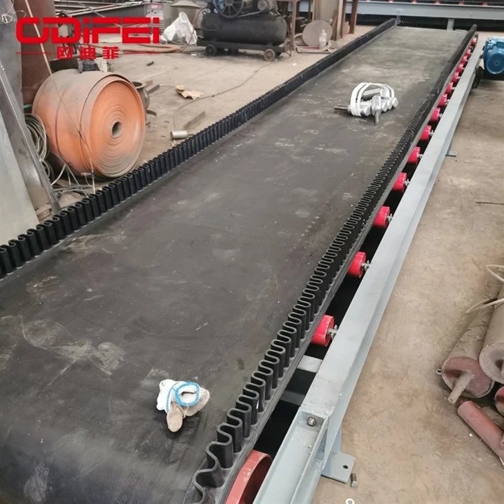 feed belt conveyor (5)