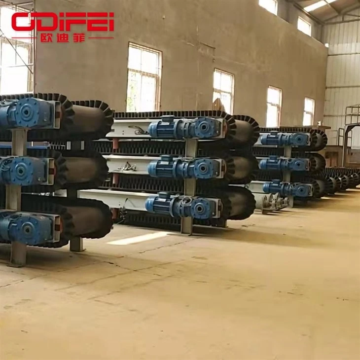 feed belt conveyor (2)